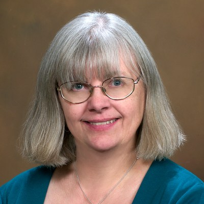 Lesley Farmer_Dist. Fac.Scholar. & Creative Acheivement
